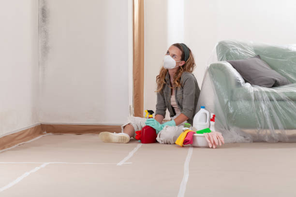 Reliable Mold Remediation contractor in Spring Lake Park, MN by 24 Hour Mold Removal